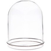 Plymor 4.5" x 6" Glass Display Dome Cloche with Silver Rim (Silver Rim Glass Tray Base)