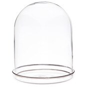 Plymor 4.5" x 6" Glass Display Dome Cloche with Silver Rim (Silver Rim Glass Tray Base)