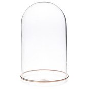 Plymor 4.5" x 8" Glass Display Dome Cloche (Gold Rim Glass Tray Base)