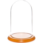 Glass Dome with Oak Veneer Base - 4.5" x 8"