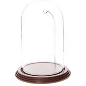 Glass Dome with Walnut Veneer Base & Silver Wire - 4.5" x 8"
