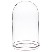 Plymor 4.5" x 8" Glass Display Dome Cloche with Silver Rim (Silver Rim Glass Tray Base)