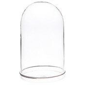 Plymor 4.5" x 8" Glass Display Dome Cloche (Silver Rim Glass Tray Base)