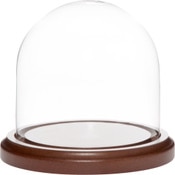 Plymor 4 inch x 4 inch Glass Display Dome Cloche (Dark Wood Base)