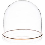 Plymor 4" x 4" Glass Display Dome Cloche (Gold Rim Glass Tray Base)