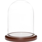 Plymor 4 inch x 5.25 inch Glass Display Dome Cloche (Dark Wood Base)