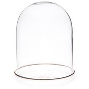 Plymor 4" x 5.5" Glass Display Dome Cloche (Gold Rim Glass Tray Base)
