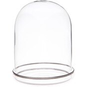 Plymor 4" x 5.5" Glass Display Dome Cloche with Silver Rim (Silver Rim Glass Tray Base)