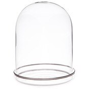 Plymor 4" x 5.5" Glass Display Dome Cloche with Silver Rim (Silver Rim Glass Tray Base)