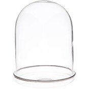 Plymor 4" x 5.5" Glass Display Dome Cloche (Silver Rim Glass Tray Base)