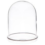 Plymor 4" x 5.5" Glass Display Dome Cloche (Silver Rim Glass Tray Base)