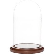 Plymor 4 inch x 7 inch Glass Display Dome Cloche (Dark Wood Base)