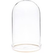 Plymor 4" x 7" Glass Display Dome Cloche with Gold Rim (Clear Glass Tray Base)