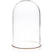 Plymor 4" x 7" Glass Display Dome Cloche (Gold Rim Glass Tray Base)