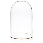 Plymor 4" x 7" Glass Display Dome Cloche (Gold Rim Glass Tray Base)