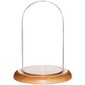 Glass Dome with Oak Base - 4" x 7"