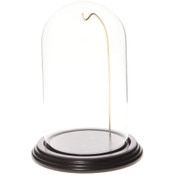 Glass Dome with Black Wood Veneer Base & Gold Wire - 4" x 7"