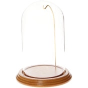 Glass Dome with Oak Veneer Base & Gold Wire - 4" x 7"