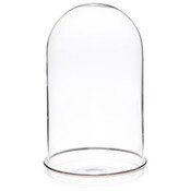 Plymor 4" x 7" Glass Display Dome Cloche (Silver Rim Glass Tray Base)