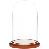 Glass Dome with Walnut MDF Base - 4" x 7"