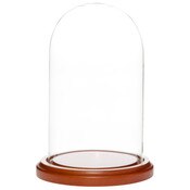 Glass Dome with Walnut MDF Base - 4" x 7"
