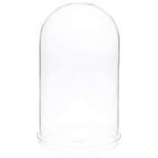 Plymor 5.5" x 10" Glass Display Dome Cloche (Clear Glass Tray Base)