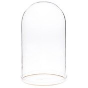 Plymor 5.5" x 10" Glass Display Dome Cloche with Gold Rim (Clear Glass Tray Base)