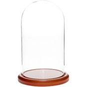 Glass Dome with Walnut MDF Base - 5.5" x 10"
