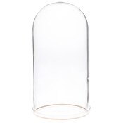 Plymor 5.5" x 11" Glass Display Dome Cloche with Gold Rim (Clear Glass Tray Base)