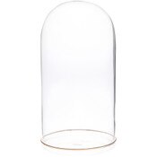 Plymor 5.5" x 11" Glass Display Dome Cloche (Gold Rim Glass Tray Base)