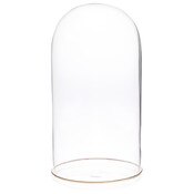 Plymor 5.5" x 11" Glass Display Dome Cloche (Gold Rim Glass Tray Base)