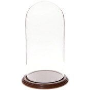 Glass Dome with Walnut Veneer Base - 5.5" x 11"