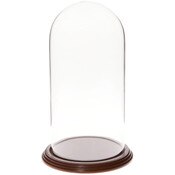 Glass Dome with Walnut Veneer Base - 5.5" x 11"
