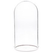 Plymor 5.5" x 11" Glass Display Dome Cloche with Silver Rim (Clear Glass Tray Base)