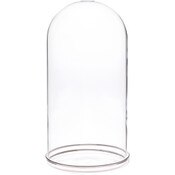 Plymor 5.5" x 11" Glass Display Dome Cloche with Silver Rim (Silver Rim Glass Tray Base)