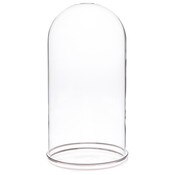 Plymor 5.5" x 11" Glass Display Dome Cloche with Silver Rim (Silver Rim Glass Tray Base)