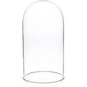 Plymor 5.5" x 11" Glass Display Dome Cloche (Silver Rim Glass Tray Base)