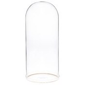 Plymor 5.5" x 13" Glass Display Dome Cloche with Gold Rim (Clear Glass Tray Base)