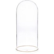 Plymor 5.5" x 13" Glass Display Dome Cloche (Gold Rim Glass Tray Base)