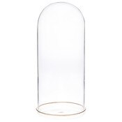 Plymor 5.5" x 13" Glass Display Dome Cloche (Gold Rim Glass Tray Base)
