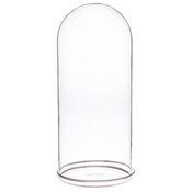 Plymor 5.5" x 13" Glass Display Dome Cloche with Silver Rim (Silver Rim Glass Tray Base)