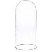 Plymor 5.5" x 13" Glass Display Dome Cloche (Silver Rim Glass Tray Base)