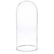 Plymor 5.5" x 13" Glass Display Dome Cloche (Silver Rim Glass Tray Base)