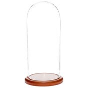 Glass Dome with Walnut MDF Base - 5.5" x 13"