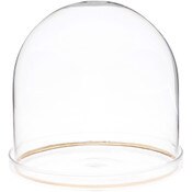 Plymor 5.5" x 5.5" Glass Display Dome Cloche with Gold Rim (Clear Glass Tray Base)