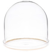 Plymor 5.5" x 5.5" Glass Display Dome Cloche with Gold Rim (Clear Glass Tray Base)