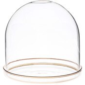Plymor 5.5" x 5.5" Glass Display Dome Cloche with Gold Rim (Gold Rim Glass Tray Base)