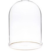 Plymor 5.5" x 8" Glass Display Dome Cloche with Gold Rim (Clear Glass Tray Base)