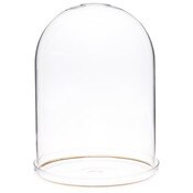 Plymor 5.5" x 8" Glass Display Dome Cloche with Gold Rim (Clear Glass Tray Base)