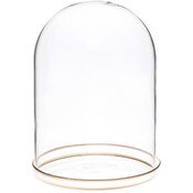 Plymor 5.5" x 8" Glass Display Dome Cloche with Gold Rim (Gold Rim Glass Tray Base)